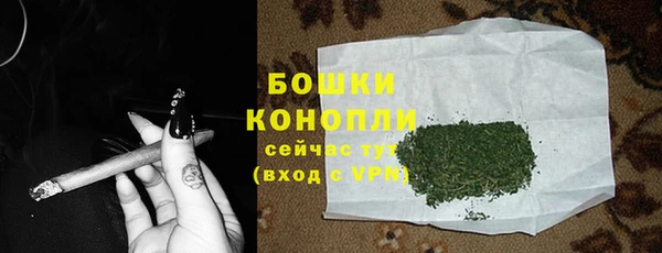 шишки Балахна