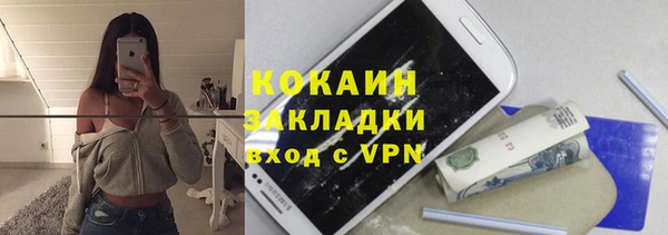 шишки Балахна
