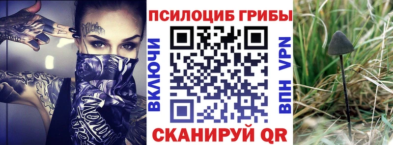 Галлюциногенные грибы мицелий  Корсаков 